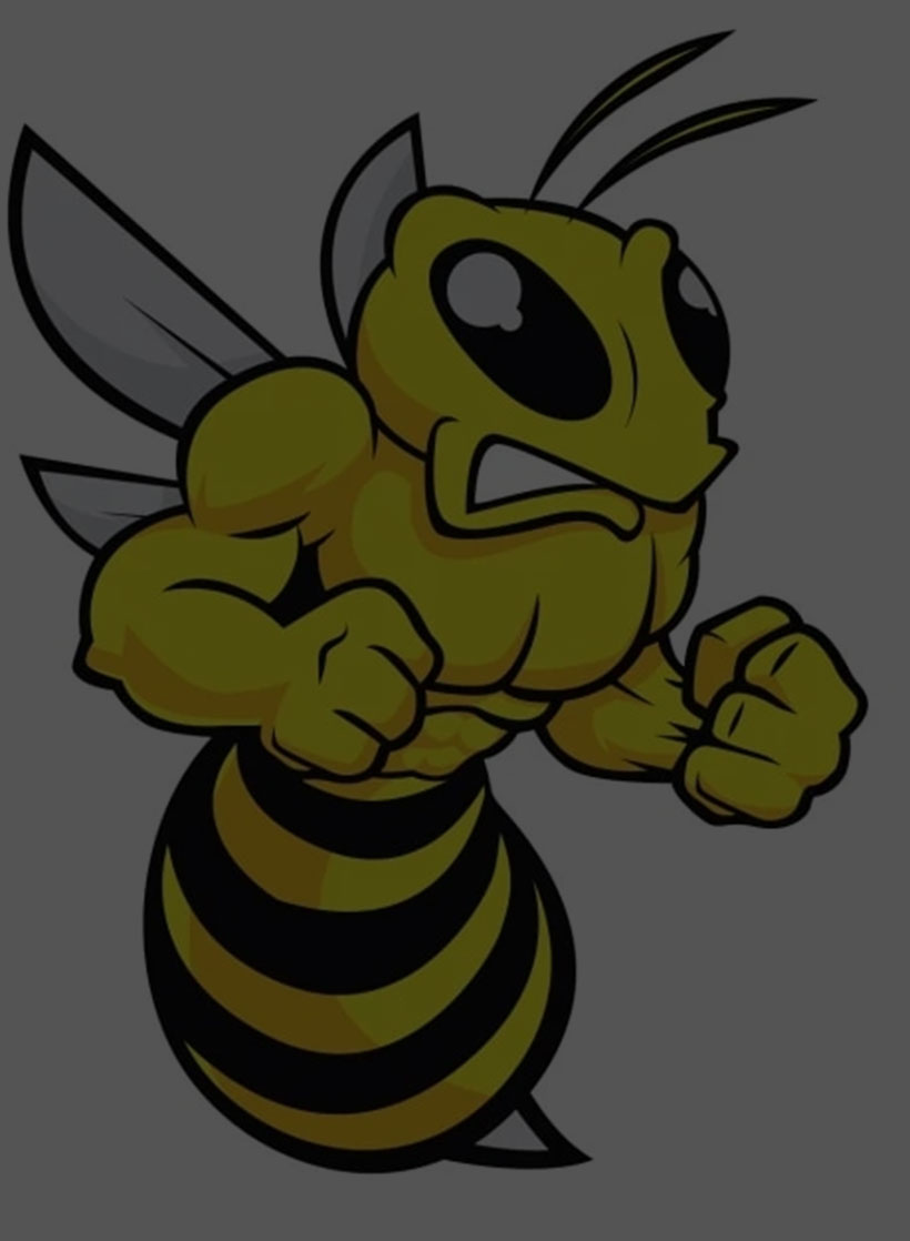 This image for Image Layouts addon